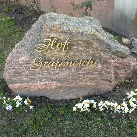 Hof Grafeneiche Penzion Asel