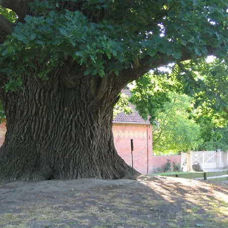 Hof Grafeneiche Πανσιόν Asel